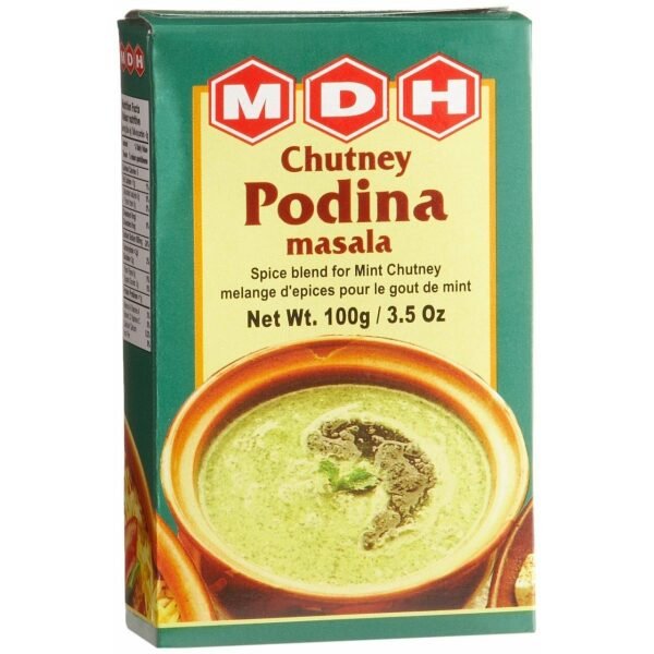 MDH Chutney Podina Masala 100 Grams (3.5 OZ)